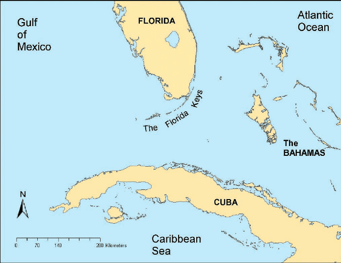Located just 144 kilometeres (90 miles) from Florida, the communist revolution in Cuba greatly alarmed the United States (Map)