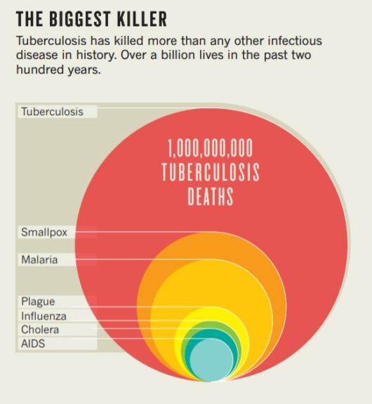 The Deadliest Infectious Diseases In History And Their Prevalence Today