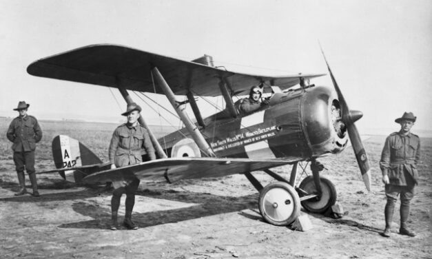 The Australian Flying Corps, 1917–18