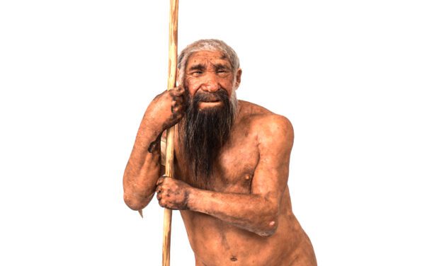 Why the Neanderthals may have been more sophisticated hunters than we thought – new study