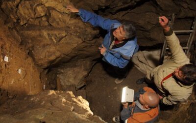 Fresh clues to the life and times of the Denisovans, a little-known ancient group of humans