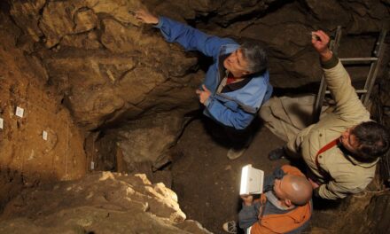 Fresh clues to the life and times of the Denisovans, a little-known ancient group of humans