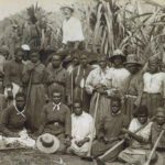 A slave state – how blackbirding in colonial Australia created a legacy of racism