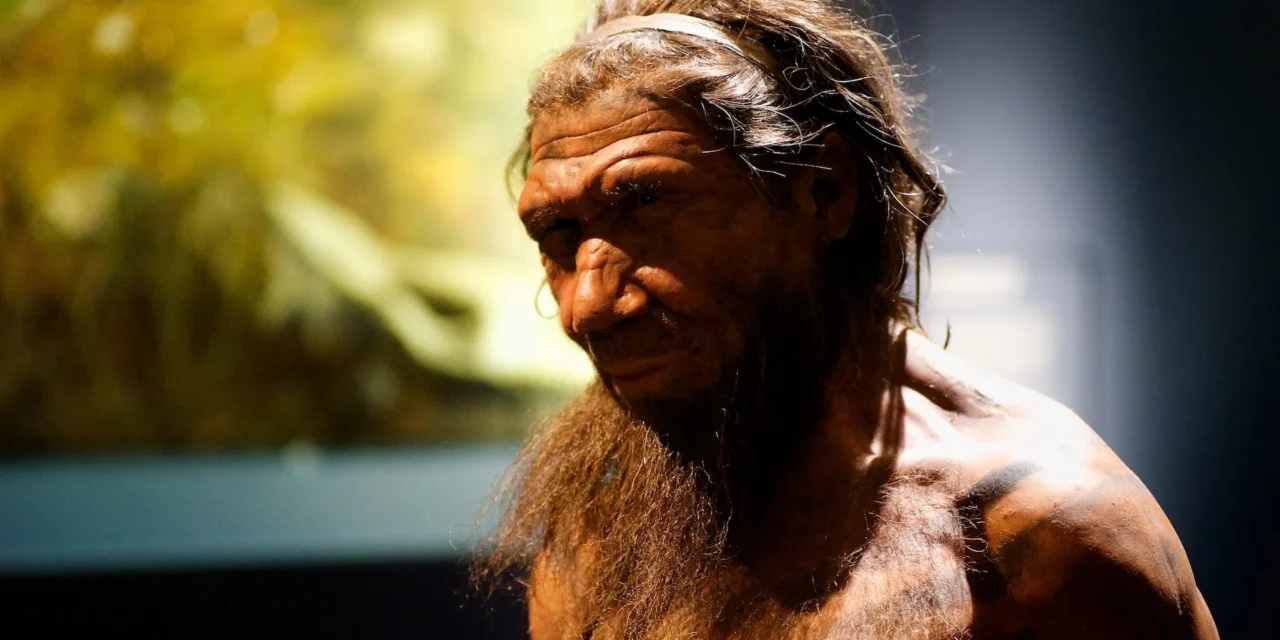 Neanderthals were no brutes – research reveals they may have been precision workers