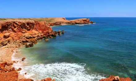 We have revealed a unique time capsule of Australia’s first coastal people from 50,000 years ago