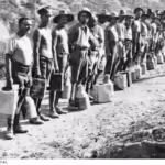 Flies, filth and bully beef: life at Gallipoli in 1915