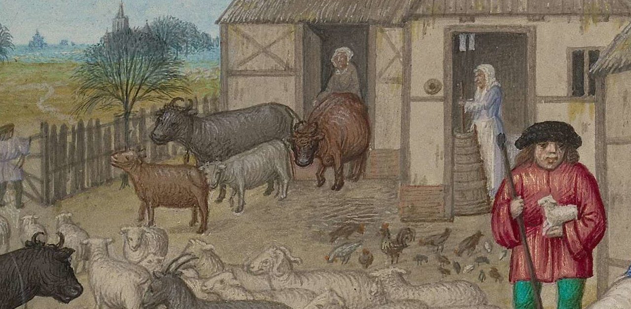 The Origins of the Commons in Britain