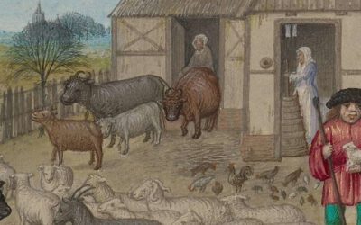 The Origins of the Commons in Britain