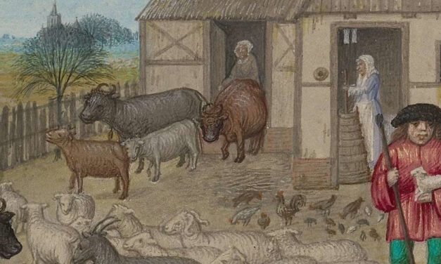 The Origins of the Commons in Britain