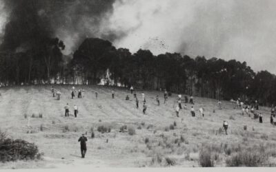 Our savage history of fighting bushfires