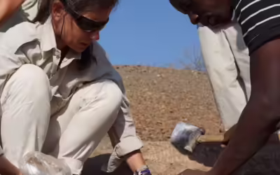 Our stone tool discovery pushes back the archaeological record by 700,000 years
