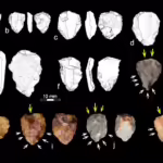 What stone tools found in southern tip of Africa tell us about the human story