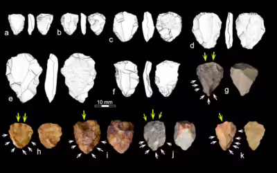 What stone tools found in southern tip of Africa tell us about the human story