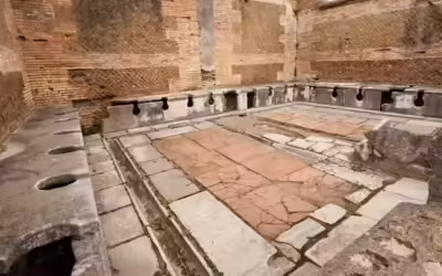 Talking heads: what toilets and sewers tell us about ancient Roman sanitation